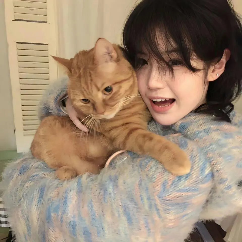 猫眼三姐妹第一季